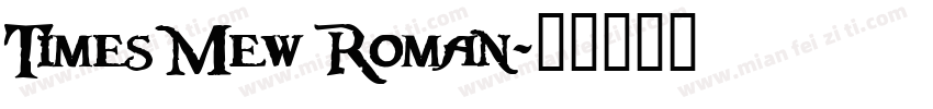 Times Mew Roman字体转换